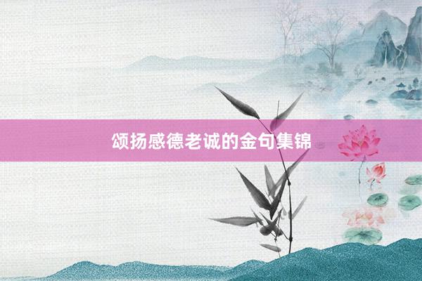 颂扬感德老诚的金句集锦