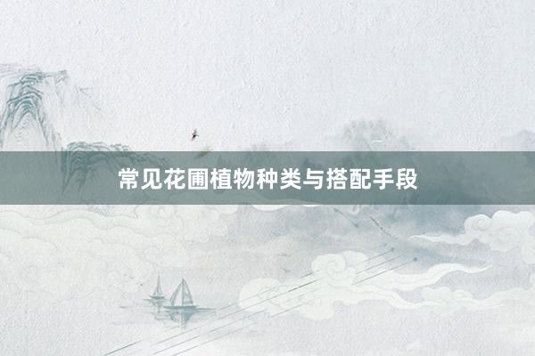 常见花圃植物种类与搭配手段