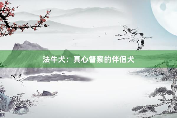 法牛犬：真心督察的伴侣犬